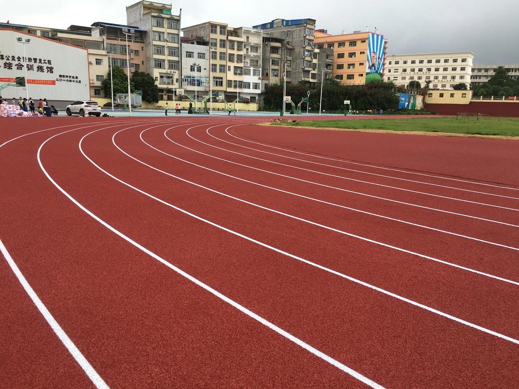 恩施土家族苗族自治州学校塑胶跑道塑胶跑道材料 - 排名